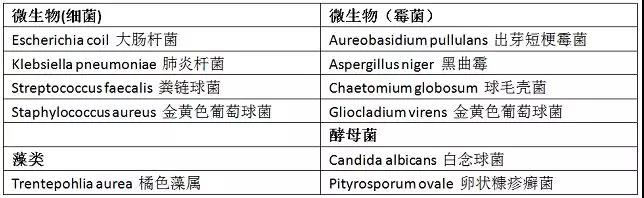 微信圖片_20190718093029.jpg